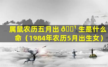 属鼠农历五月出 🌹 生是什么命（1984年农历5月出生女）